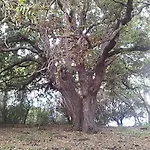 Finca Son Servera Menorca