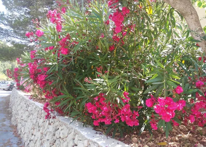 Cala Galdana Beach
