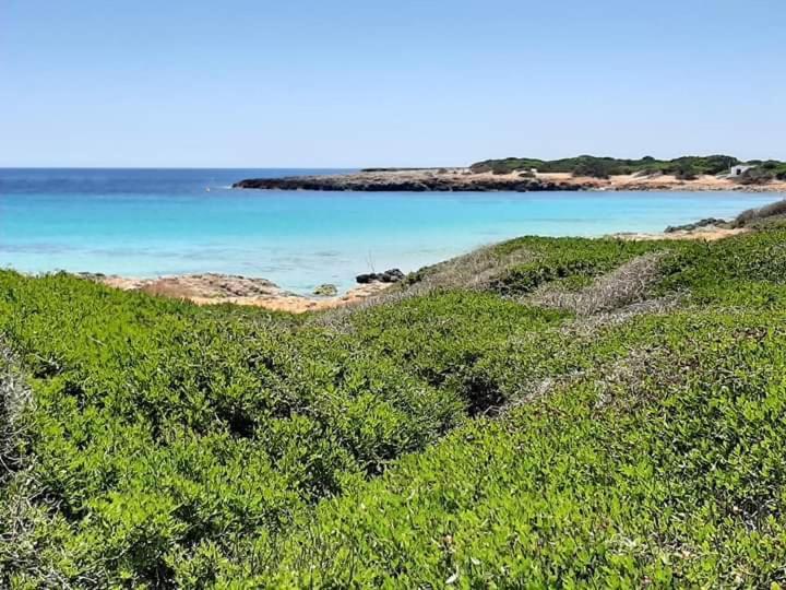 Costa Menorca