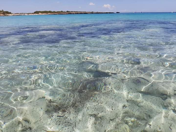 Costa Menorca Apartment Cala'N Bosch (Menorca)