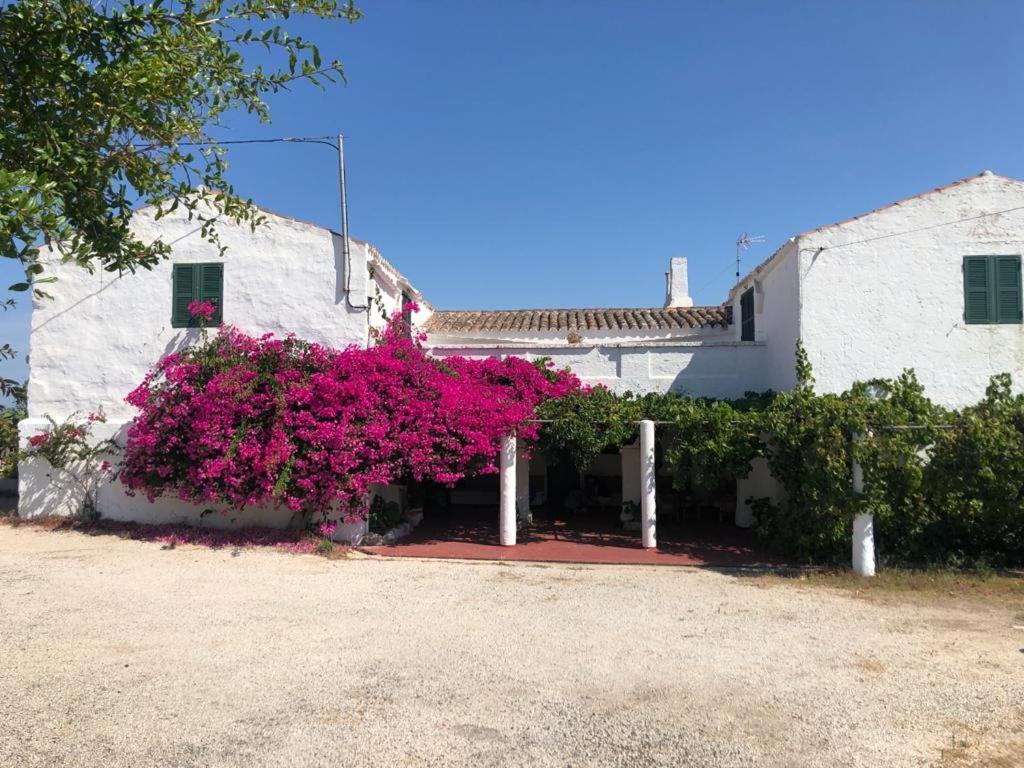 Agroturisme Binisaid Country house
