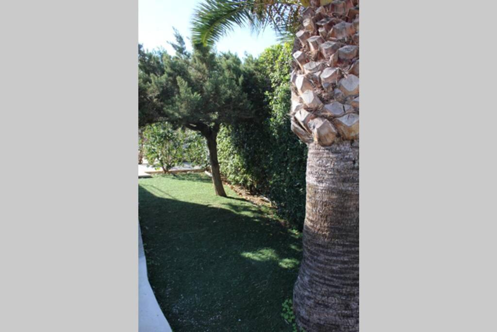 Apartamento Con Piscina Privada En Cala En Brut Cala'N Blanes (Menorca)