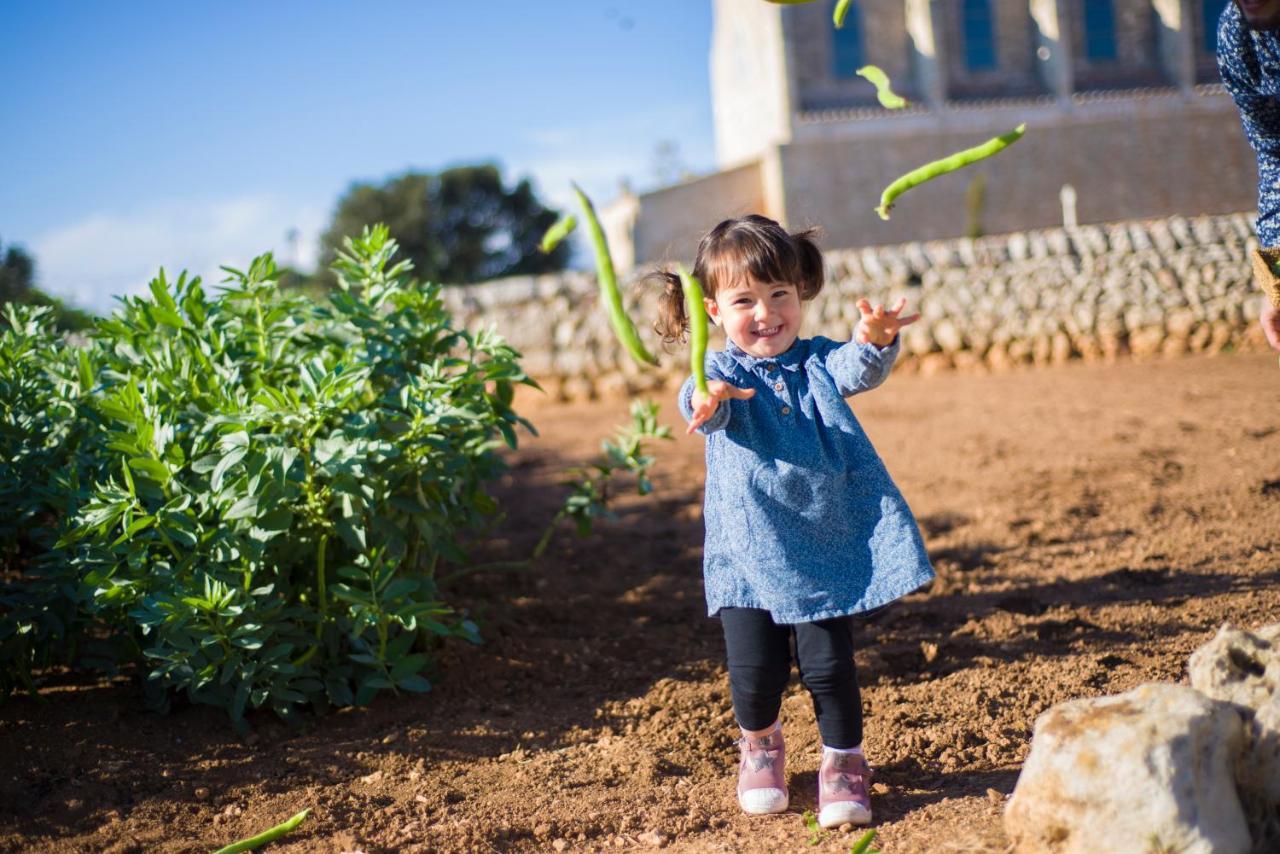 Llucmacanes Gran Farm stay *