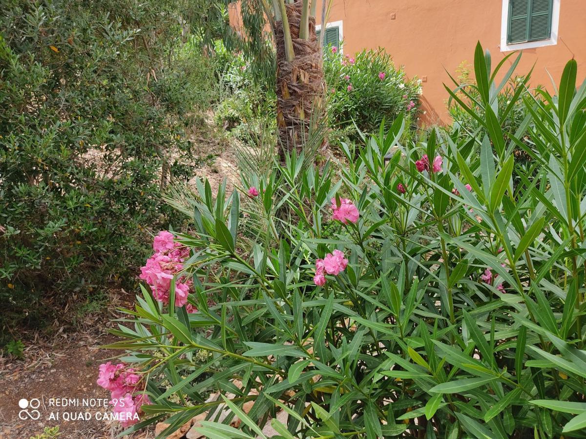 Apartamento Cala Galdana