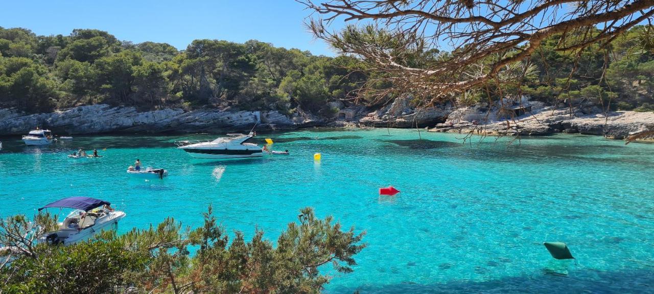 Orchidée - Coves Noves Apartamento Punta Grossa