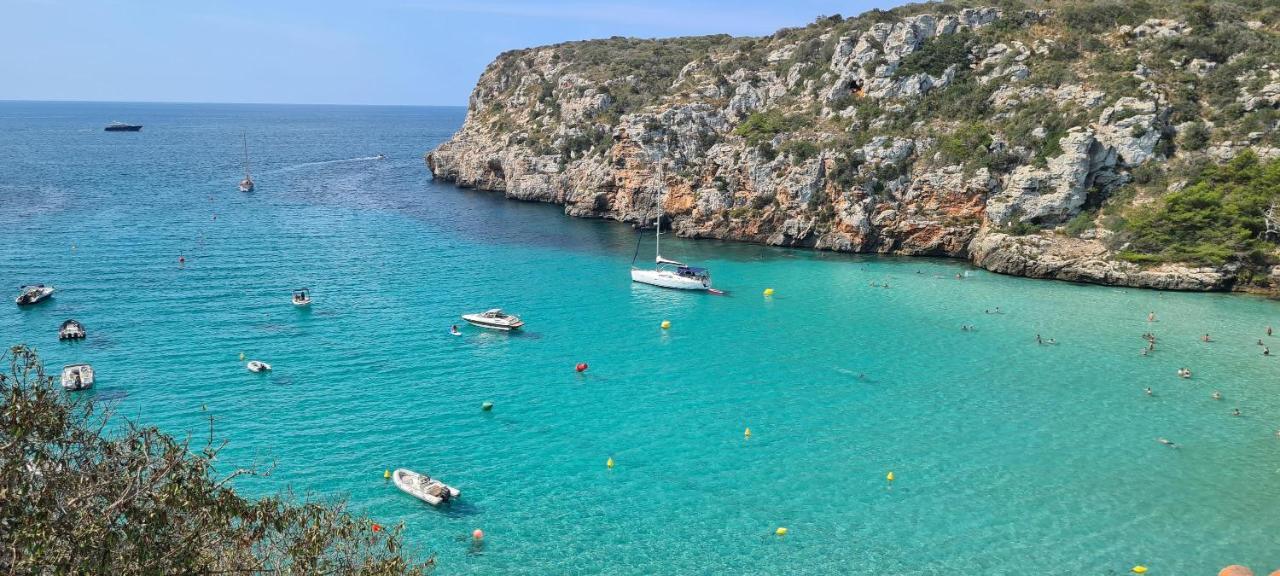 Orchidée - Coves Noves *