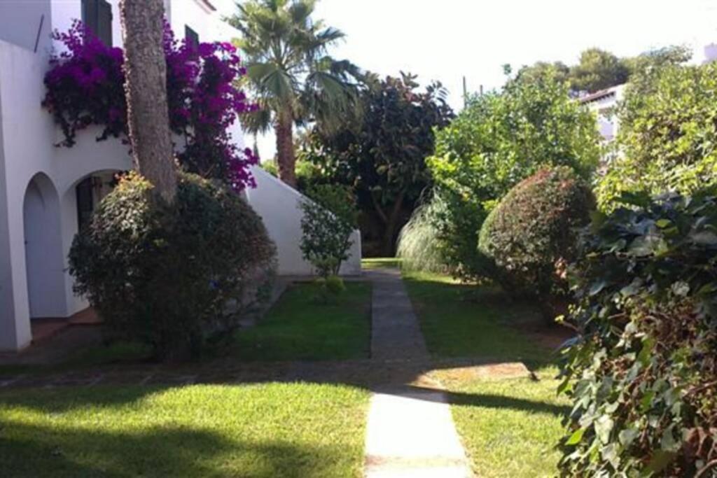 With Garden And Swimming And *