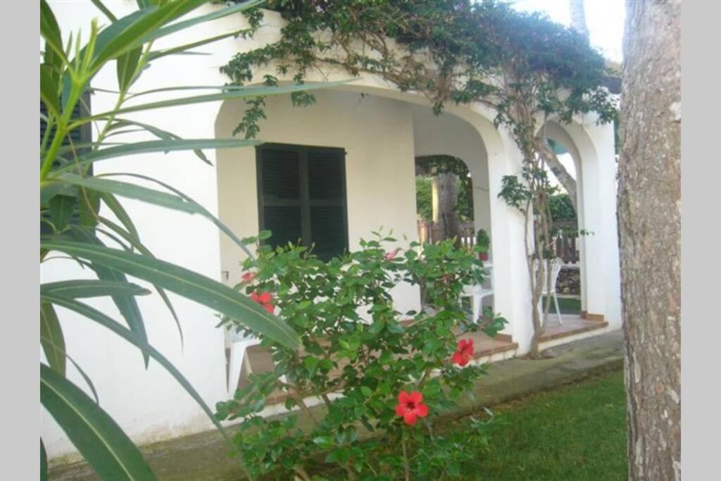 With Garden And Swimming And Apartamento Cala Blanca (Menorca)