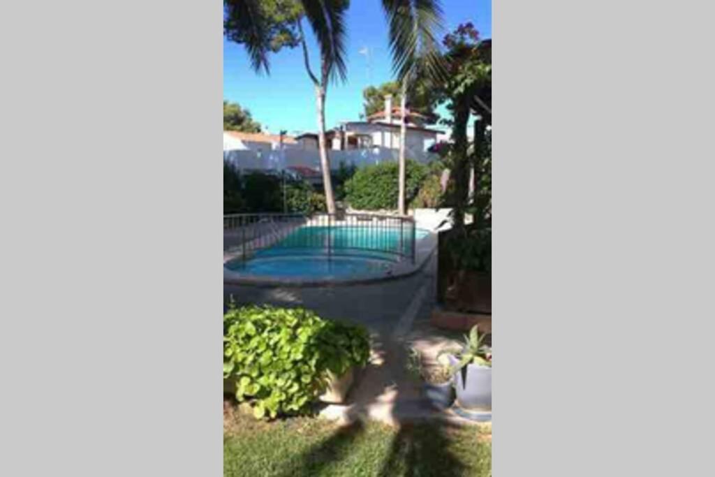 With Garden And Swimming And Apartamento