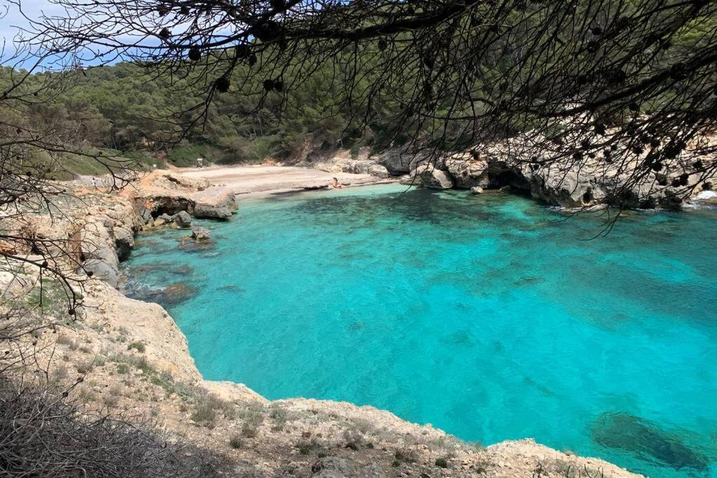 Apartamento With Garden And Swimming And Cala Blanca (Menorca)