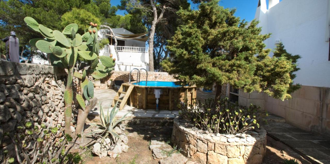 Kassiopea Holiday home *