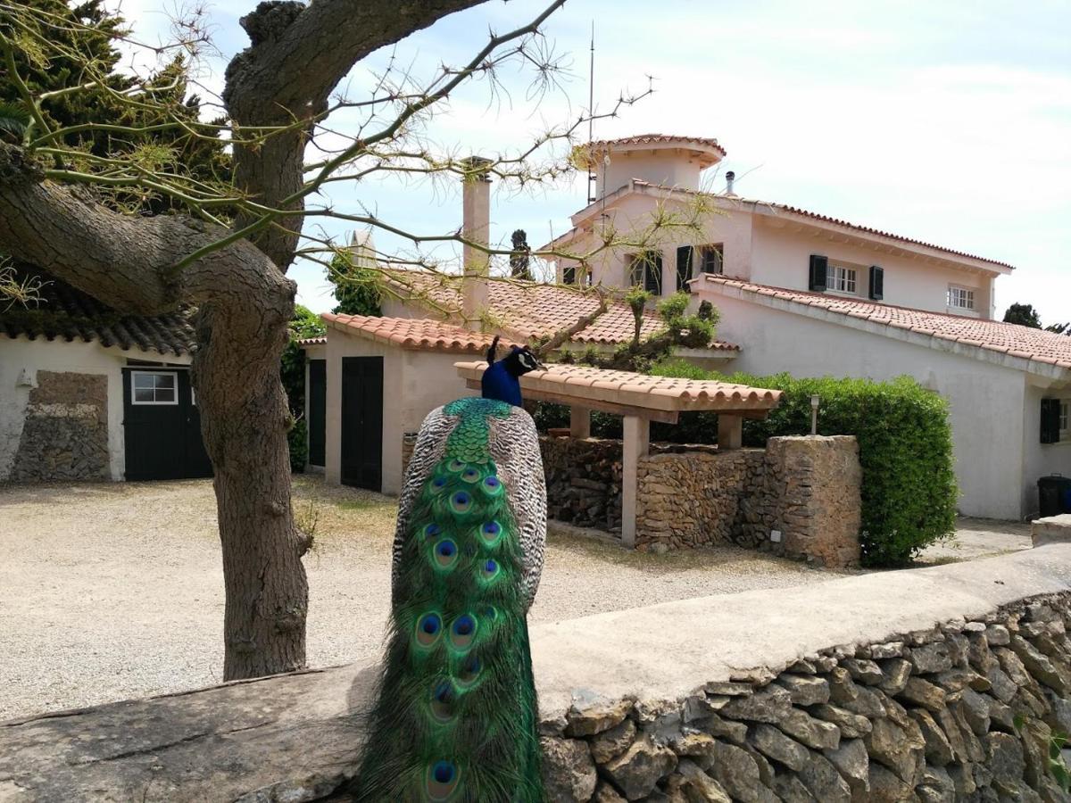 Villa Son Temet Es Mercadal