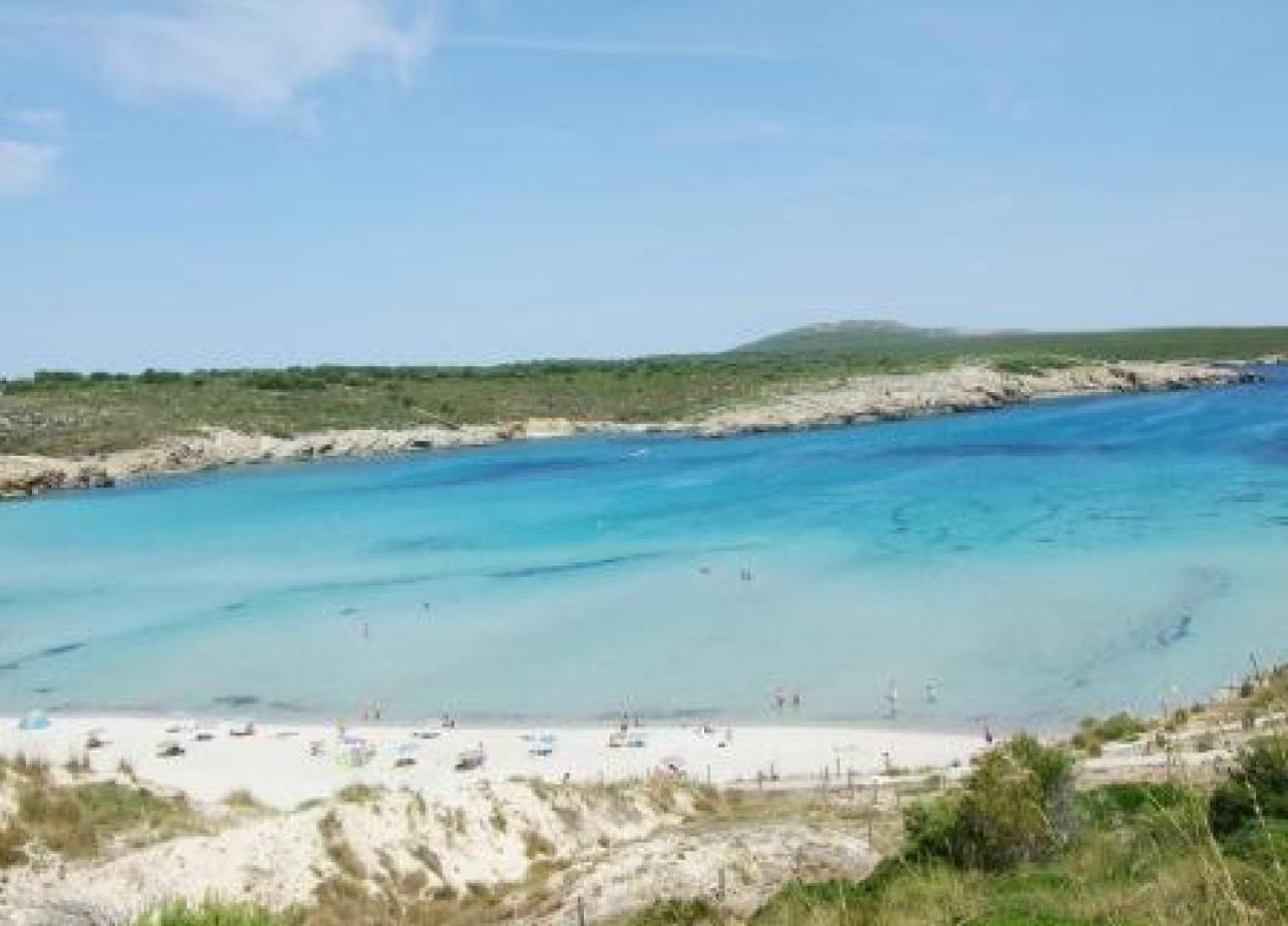Apartamento Ses Dunes Son Parc *