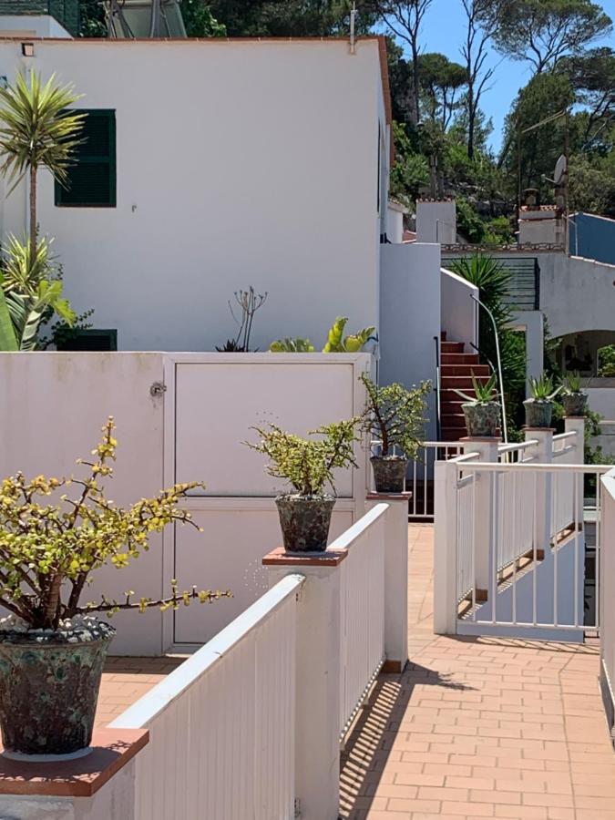 Es Cuco Apartment *