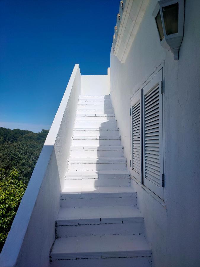 Apartment Castellsol Arenal *