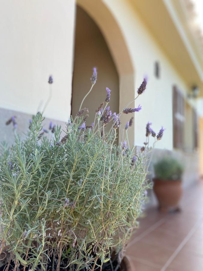 Casa Con Piscina Muy Cerca Del Mar *