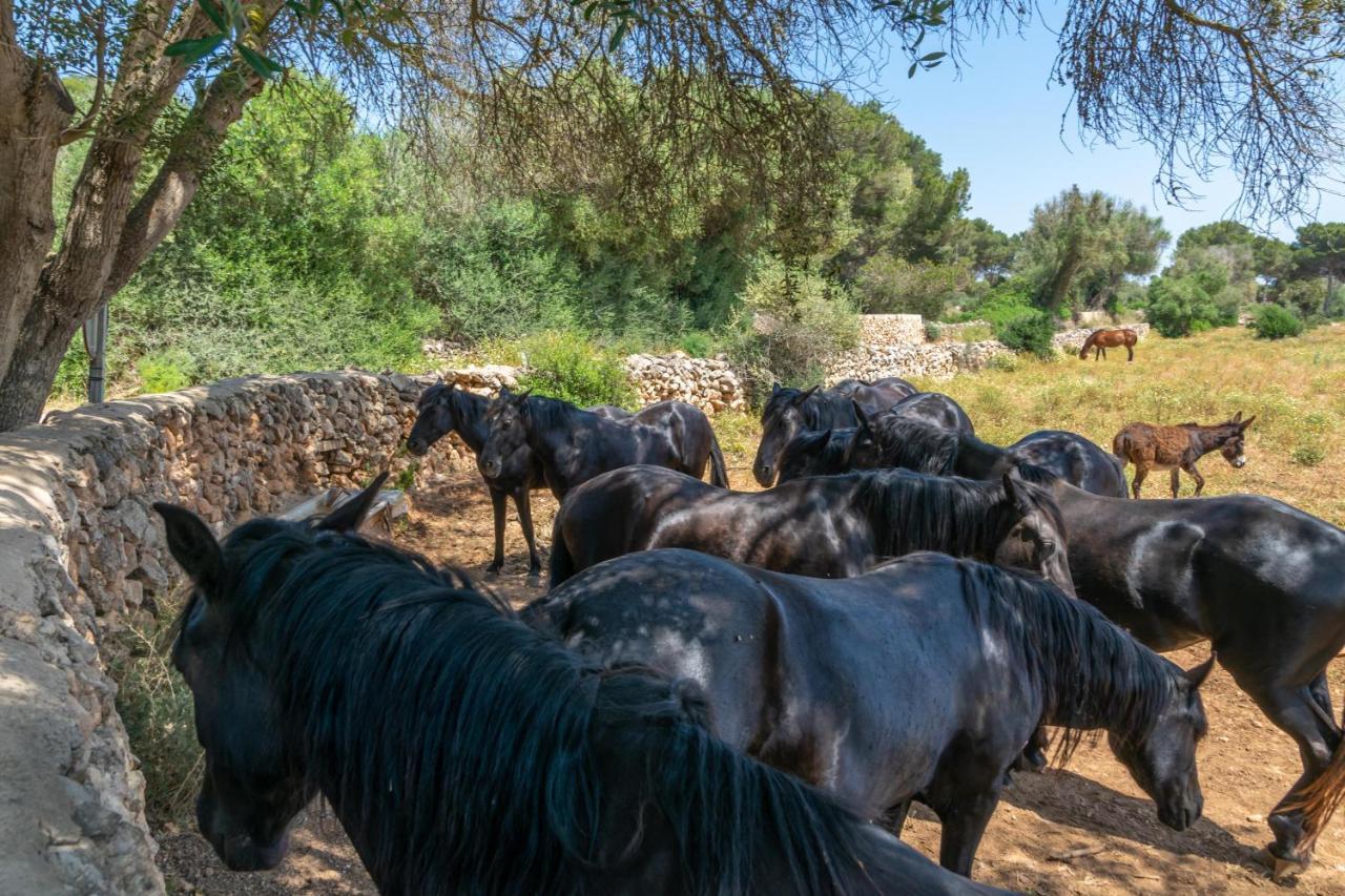Talaia D'artrutx Villa *