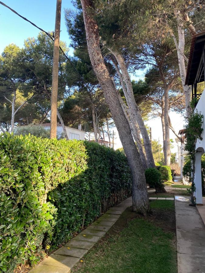 Apartamento With Garden And Swimming And *