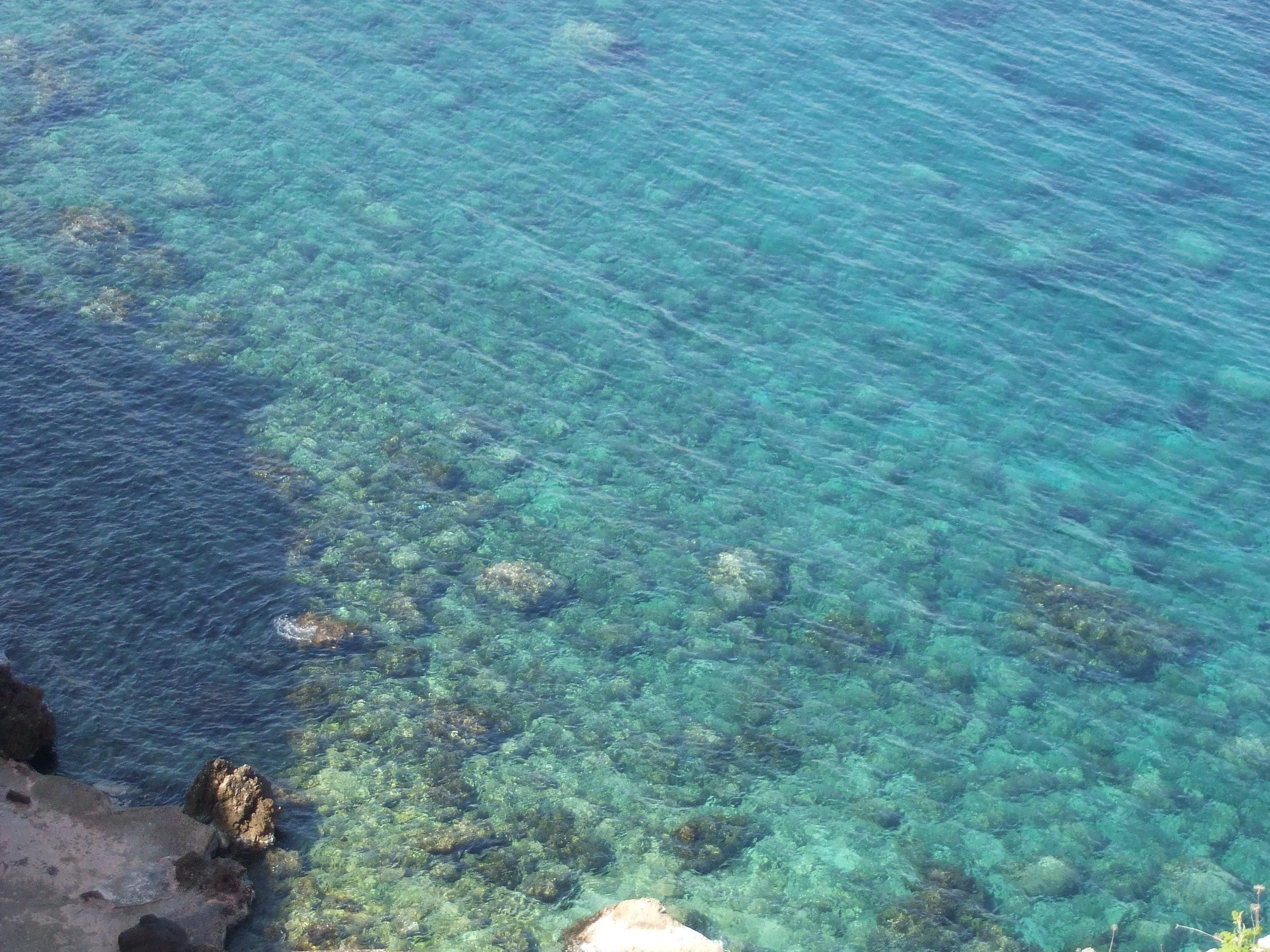 Apartment Sa Cala