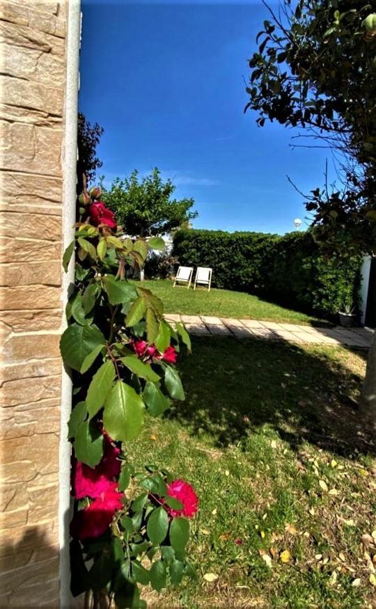 Lunas Holiday home