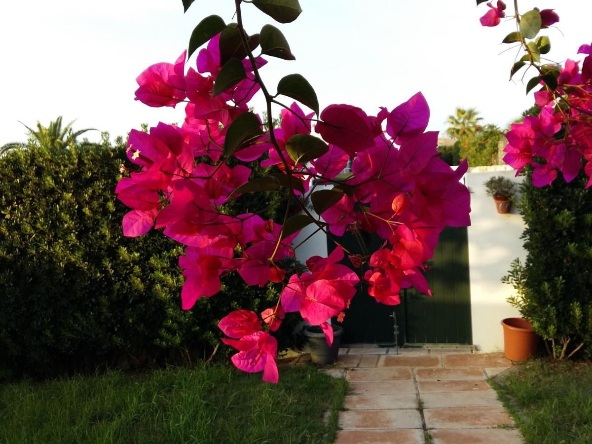Lunas Holiday home Cala'N Bosch (Menorca)
