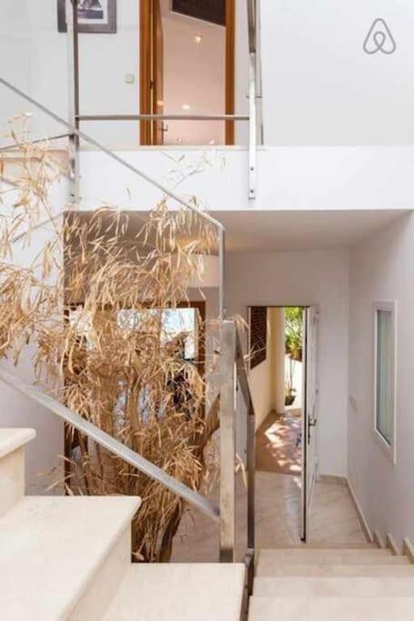 Villa Lantana Lujo Y Estilo Con Vistas únicas Al Puerto De Mahón *
