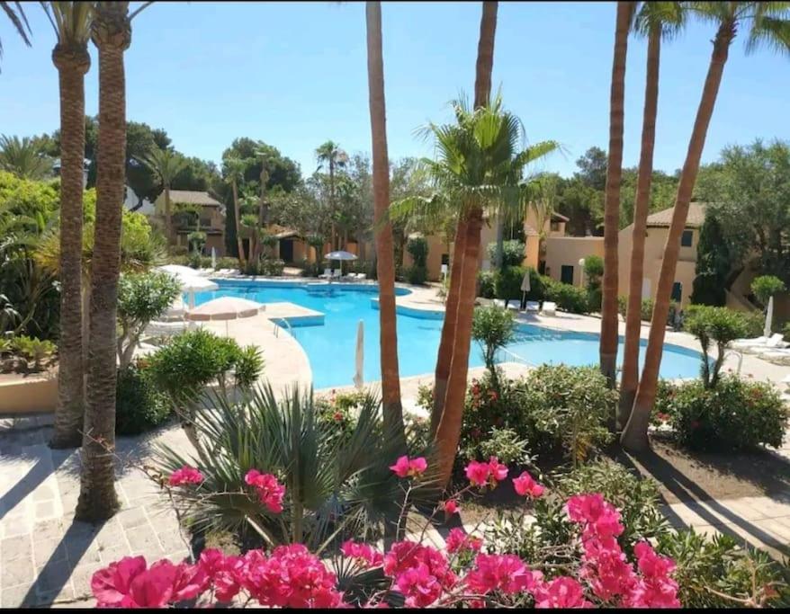 Apartamento Avec Vue Sur Mer Et Piscine Tropicale