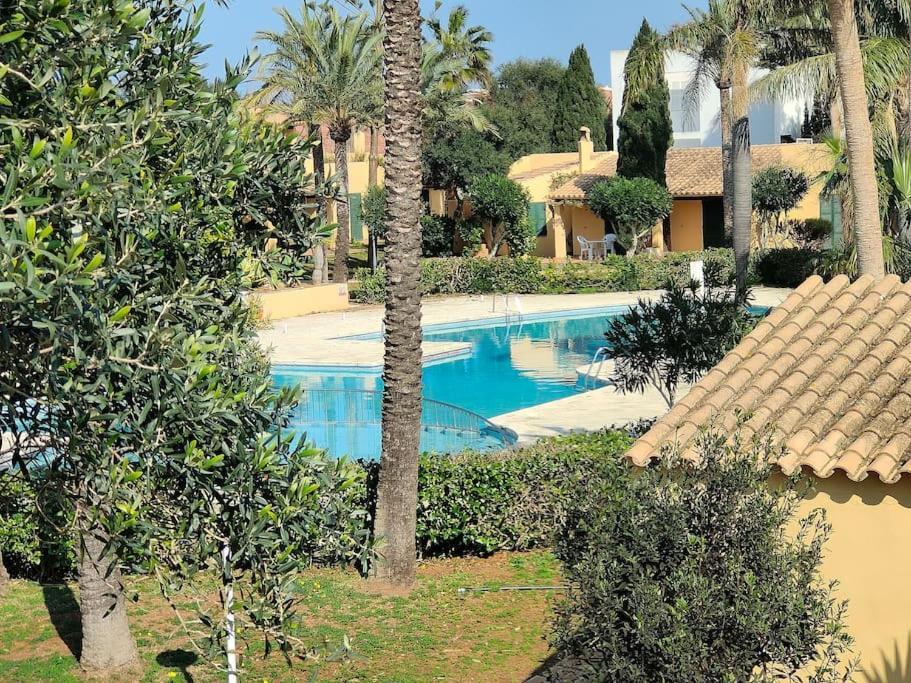 Avec Vue Sur Mer Et Piscine Tropicale *
