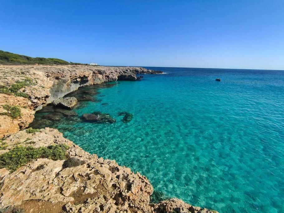 Avec Vue Sur Mer Et Piscine Tropicale Apartamento Son Xoriguer