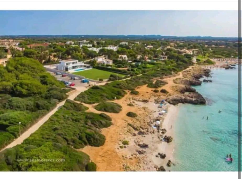 Avec Vue Sur Mer Et Piscine Tropicale