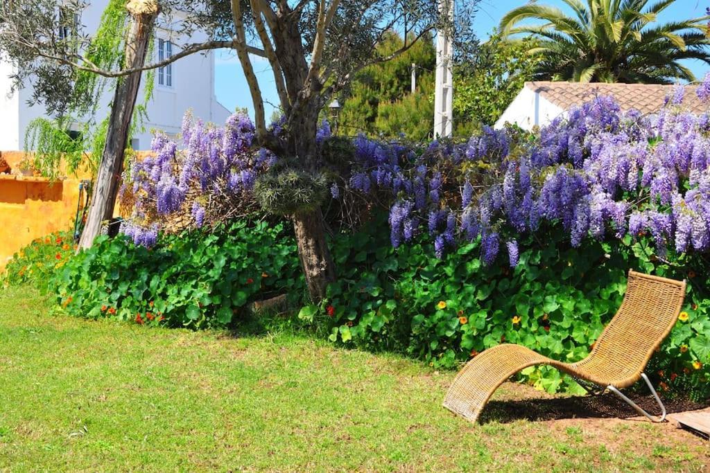Holiday home Casa Olivia Sant Lluis