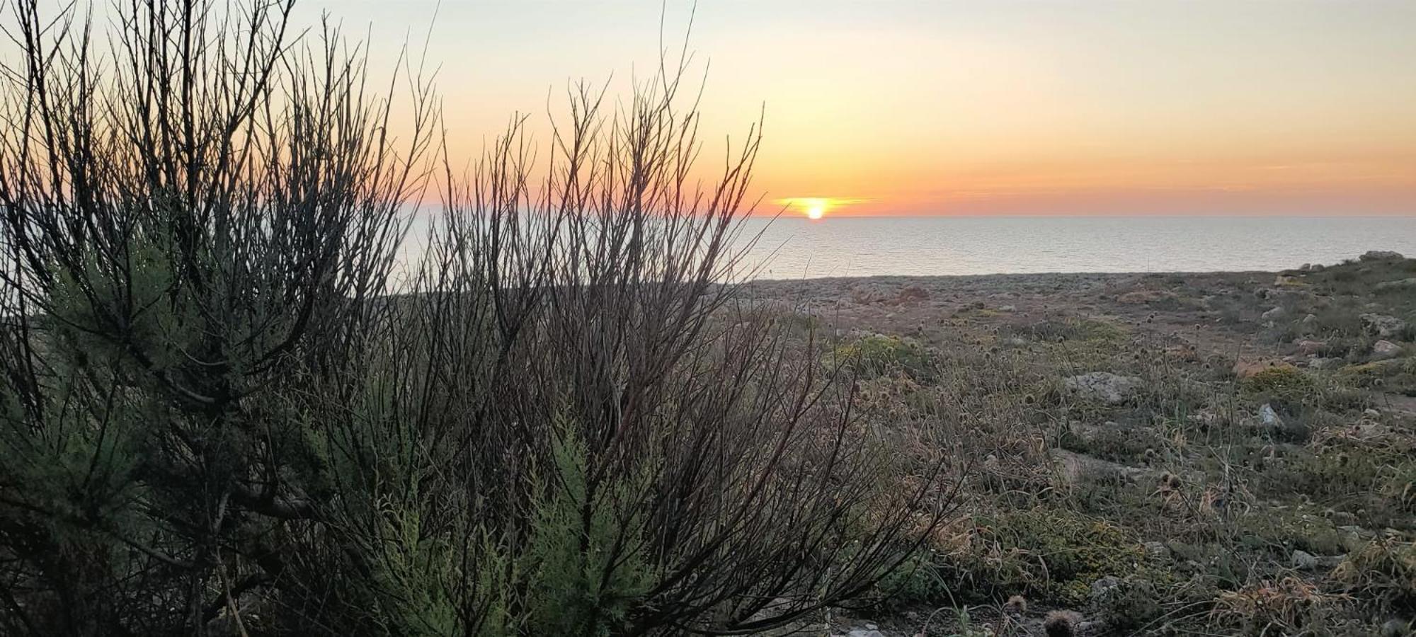 Apartment Enrique - Relajate A 3 Min De La Playa Con Jardin Y Padel *