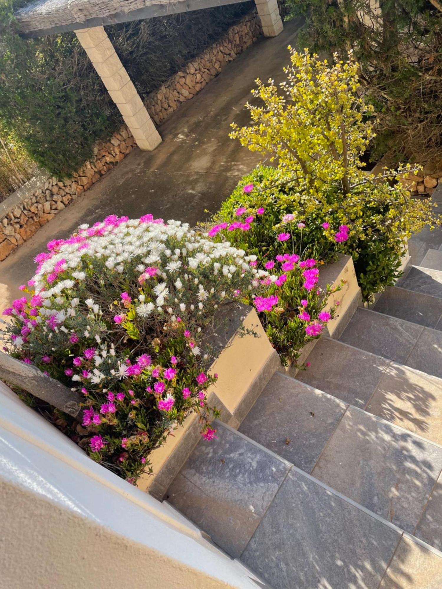 Quatre Vents Villa