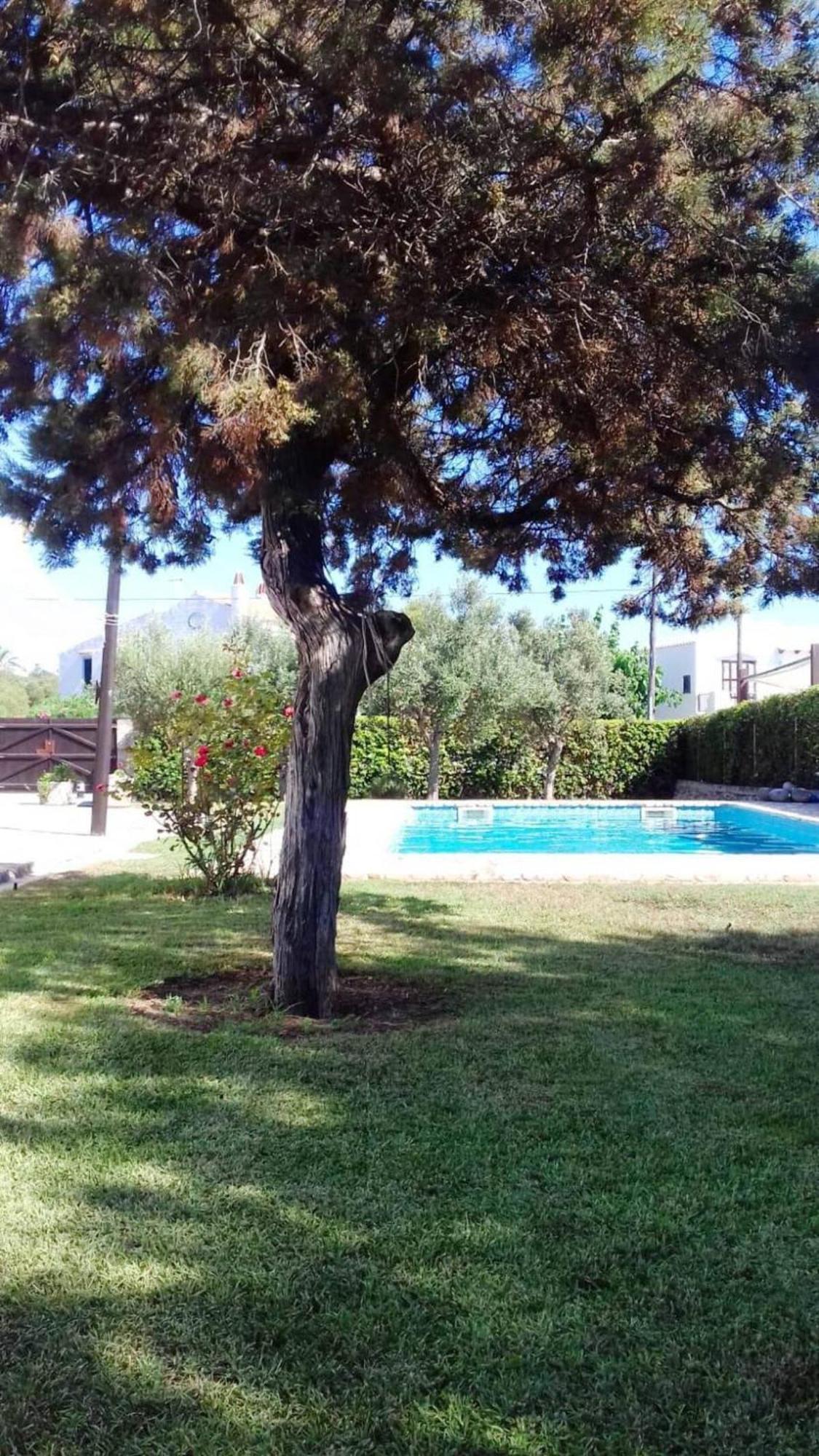 Privada Con Piscina Y Jardin A 200 Metros De La Playa