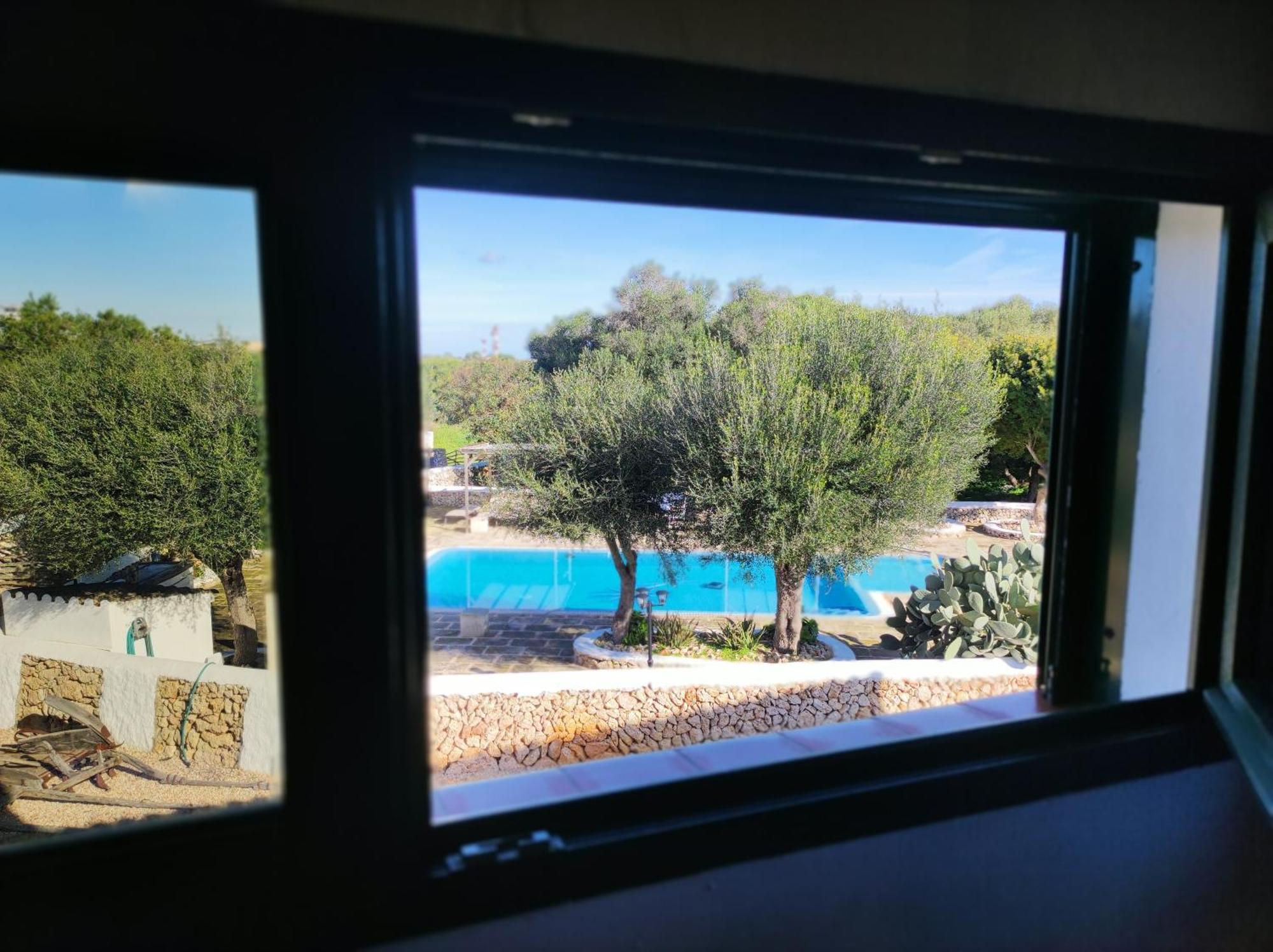 Biniati Des Pi Sant Lluís