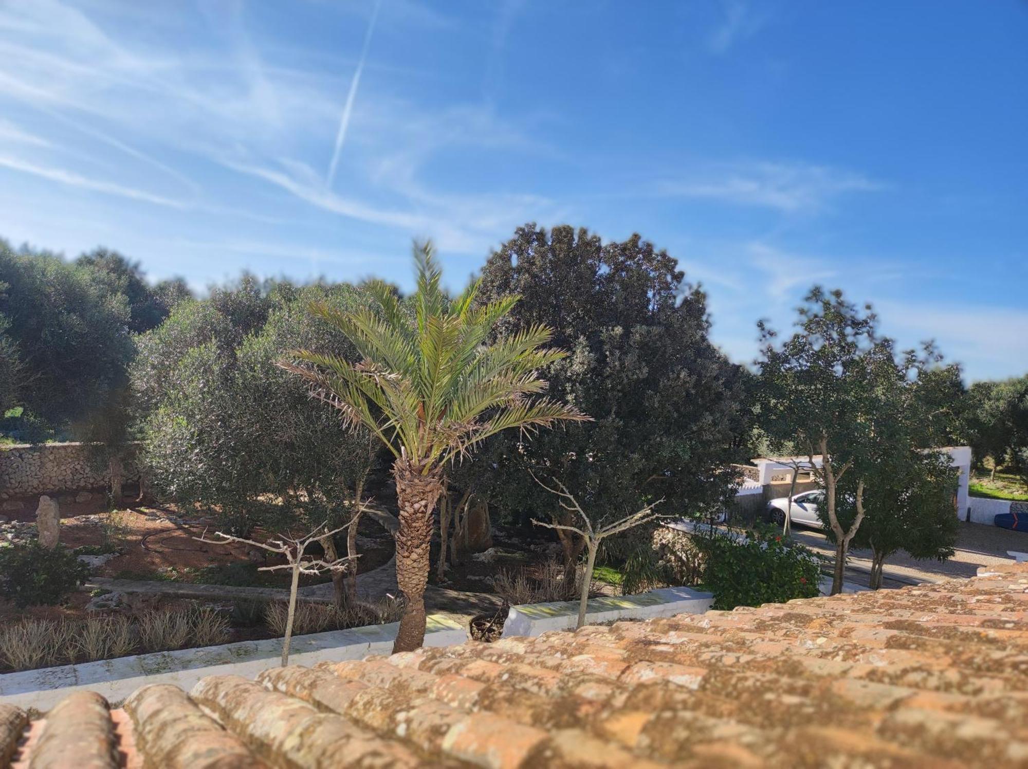 Biniati Des Pi Casa rural