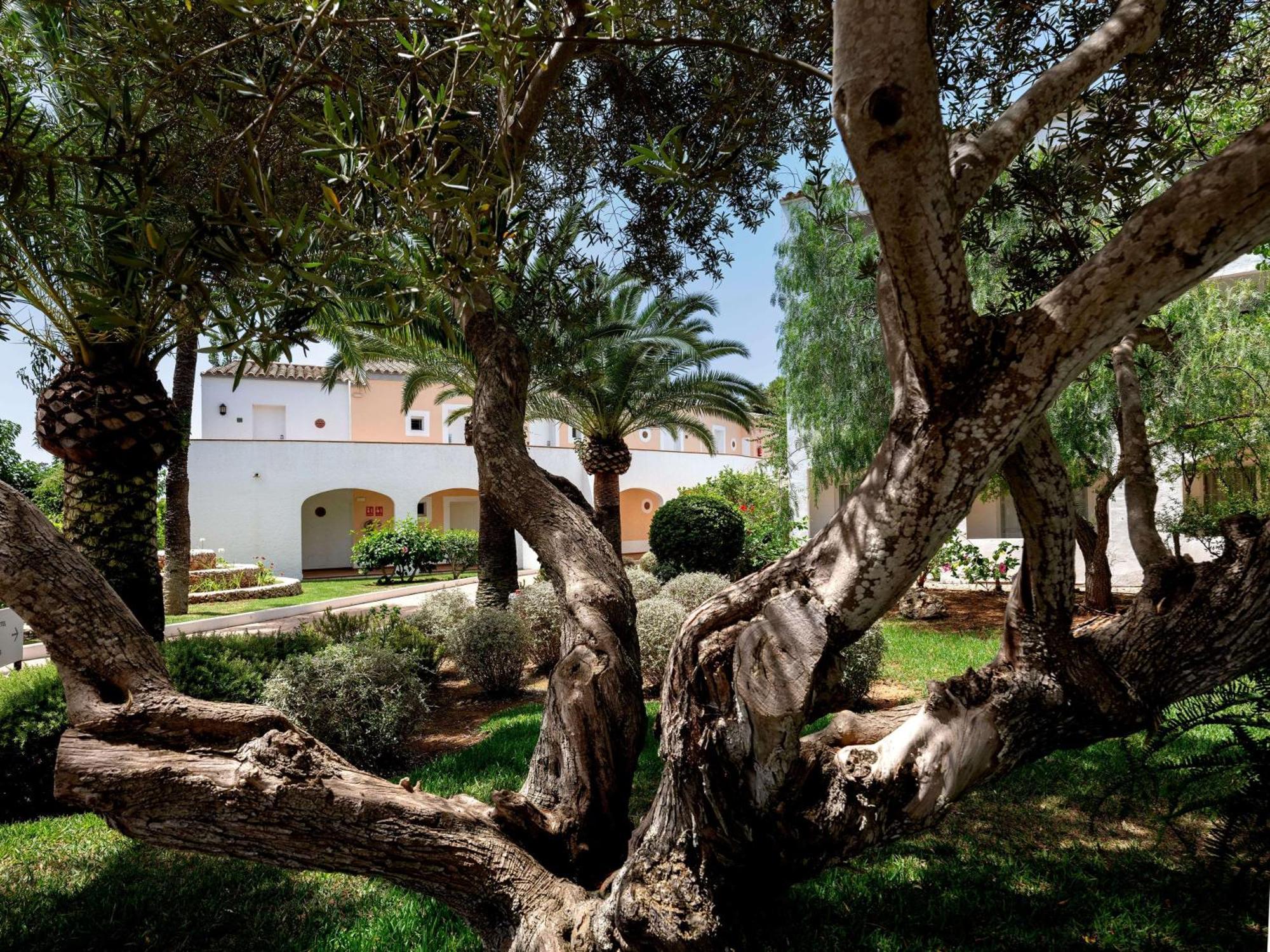 Hotel Sol Falco Menorca