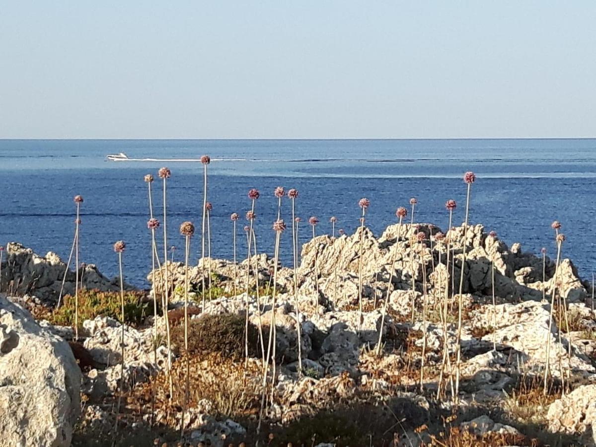Ficula Vell Beachfront With Private Pool Punta Grossa
