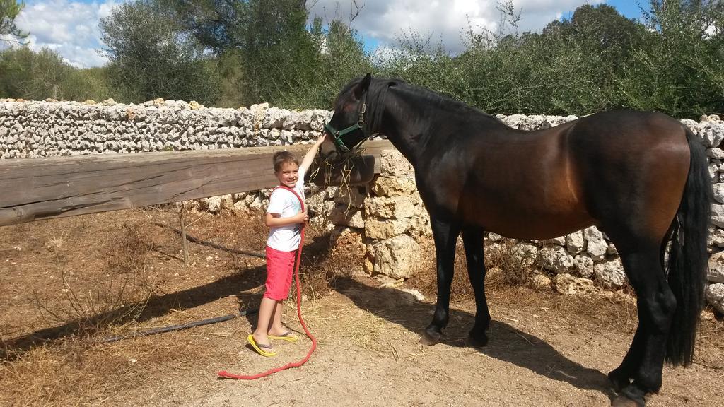 Casa rural Biniati Des Pi Sant Lluís