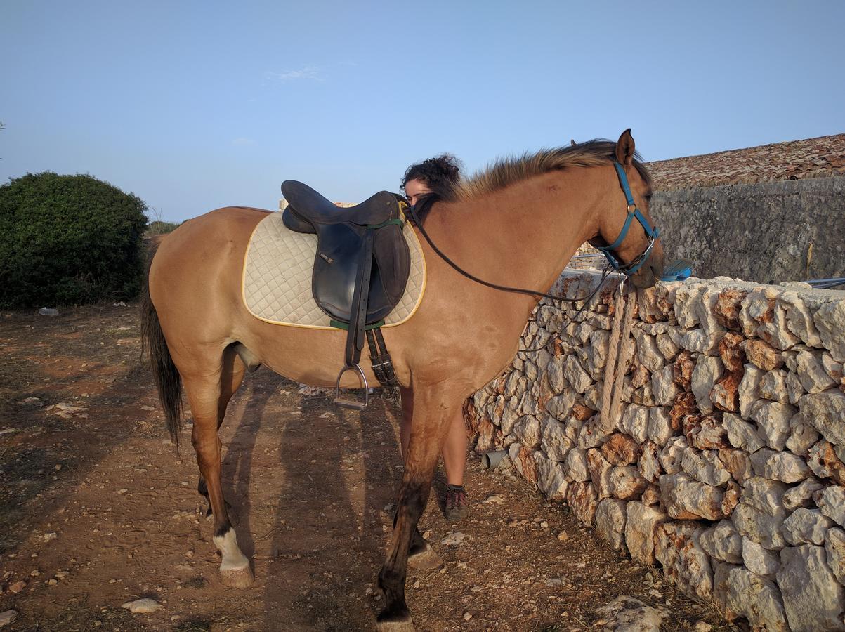 Agroturismo Matxani Gran Farm stay *