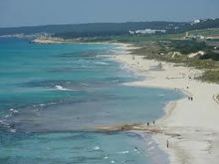 Hotel Apts. Mar Blau Son Bou