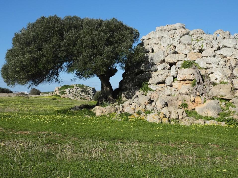 Hotel Boutique Ses 5 Claus Ciutadella (Menorca)