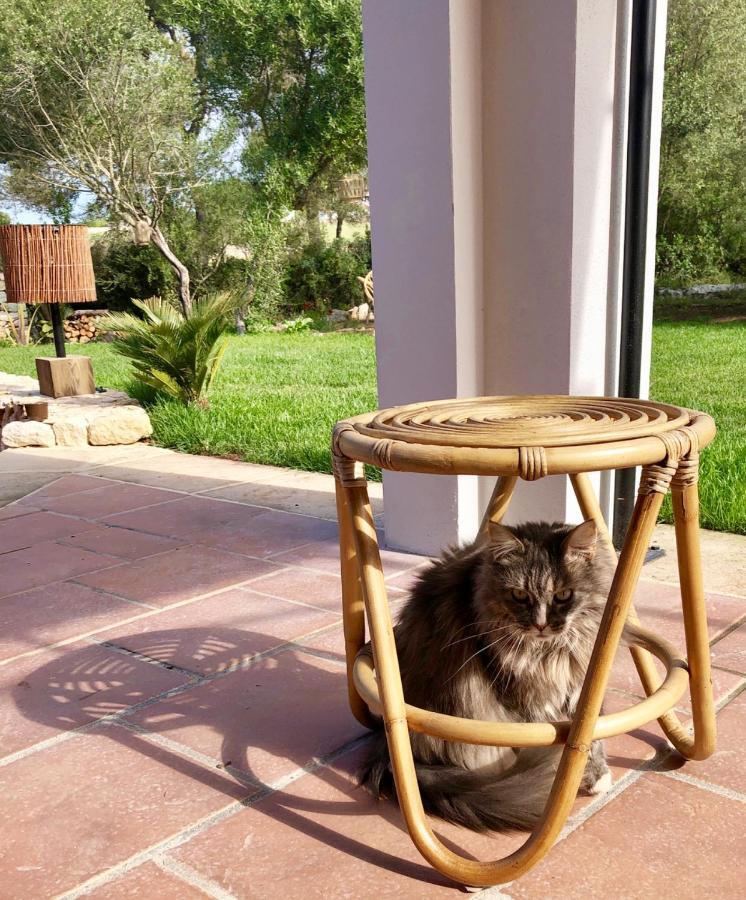 La Casa Menorca Pensión *