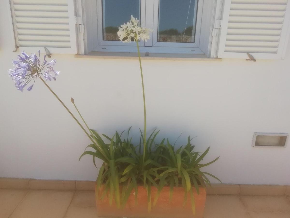 Abatzer Ciutadella (Menorca)