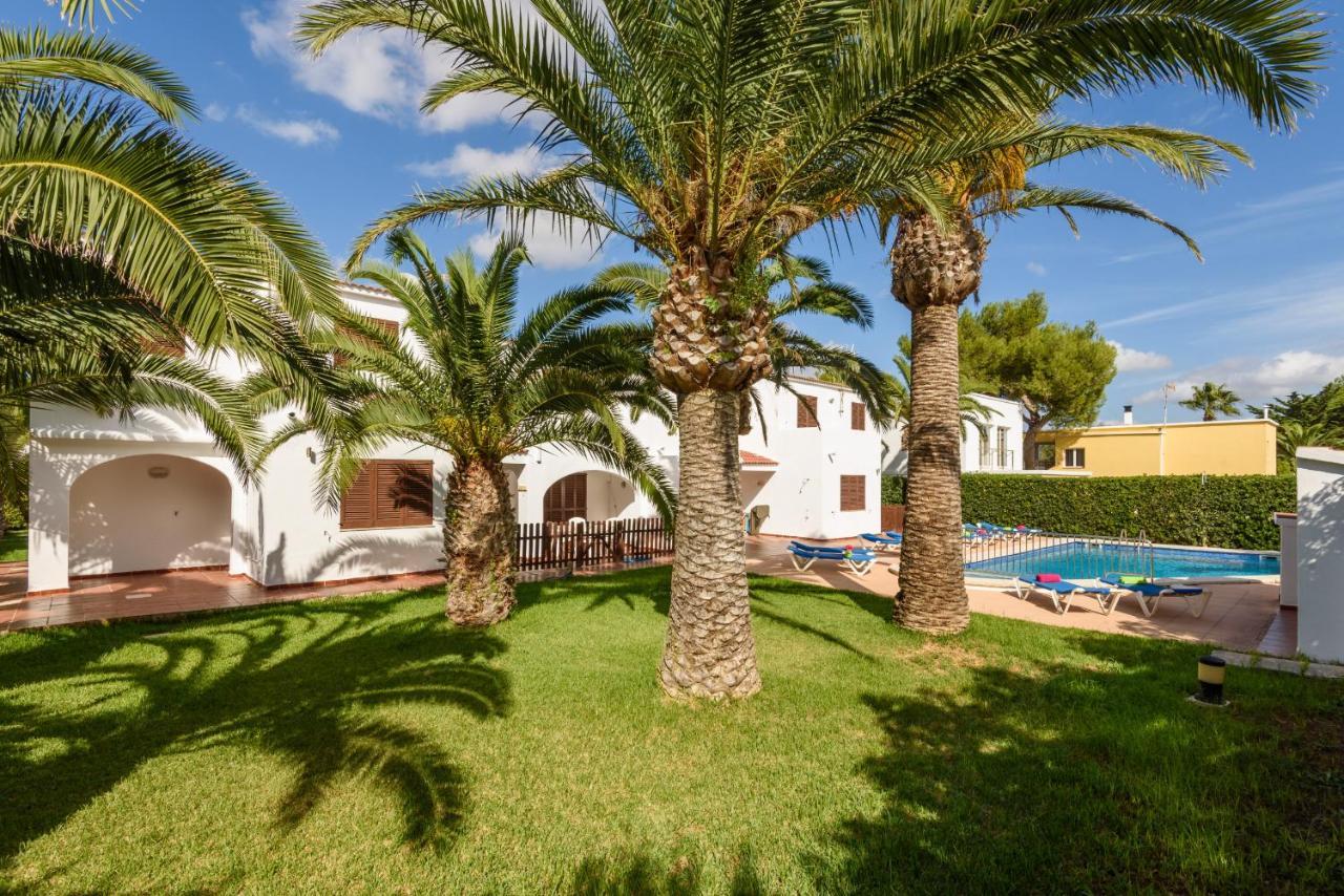 Palmeras * Cala Blanca (Menorca)