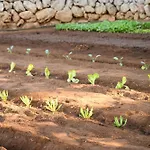 Llucmacanes Gran Agroturismo