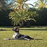 La Calma Espectacular Villa Con Jardin Y Piscina En Menorca