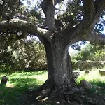 Agroturismo Sa Torre Blanca