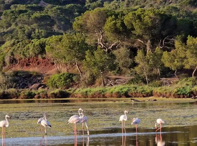 Mongofre Agroturismo