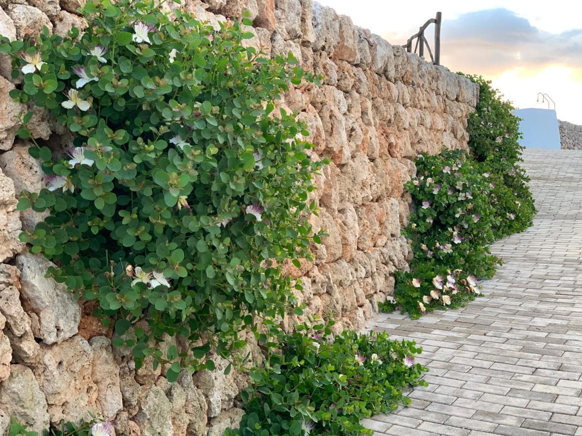 Llucasaldent Gran Menorca - Adults Only Agroturismo